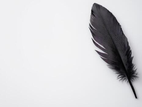 A single black feather rests on a plain white background, emphasizing simplicity and elegance. photo