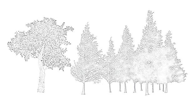Architectural Drawings, Minimal style cad tree line drawing, Side view, Black and white tree sketch illustration showing a forest landscape with detailed outlines and texturesawing, Side view vector