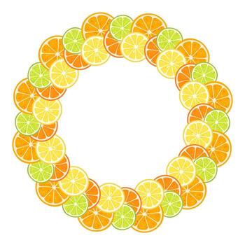 Fresh citrus fruits circle frame on transparent background vector