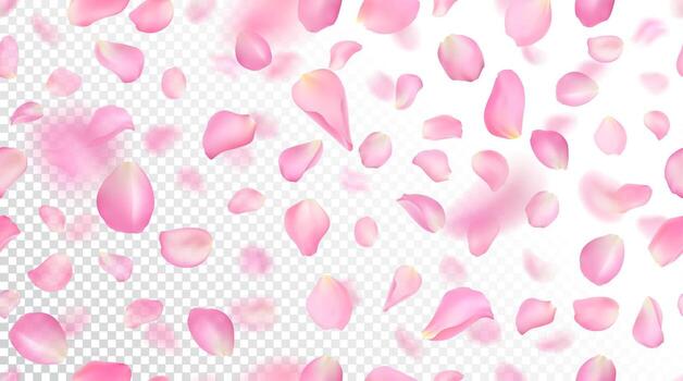 Seamless pattern with realistic flying pink rose petals on white background. Repeating texture with voluminous blurred falling sakura petal. illustration with blur effect. vector