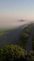 ein Autobahn mit Nebel auf das Straße und Bäume video