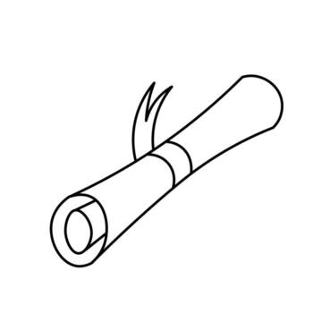 simple paper scroll in doodle style vector
