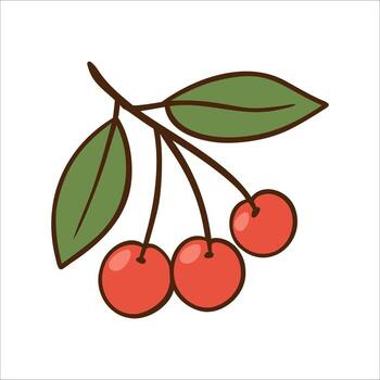 A branch with three red cherries and two green leaves. The cherries are round and glossy, showcasing their vibrant color against the simple background. vector