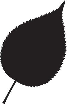 Silhouette of a single leaf isolated on white background, a simple and natural design vector