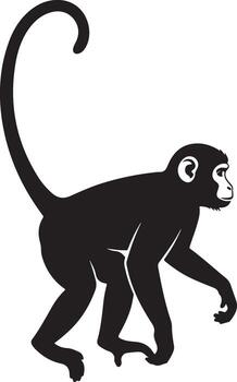 Silhouette of a monkey with a long tail standing isolated on white background vector