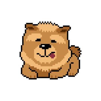 Pixel art chow chow dog in retro style vector
