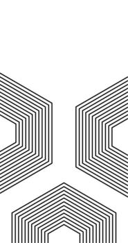 Hexagon Geometric pattern with black and white lines on white Copy Space background vector