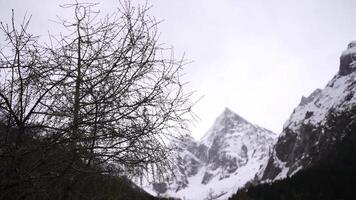 en se av en berg räckvidd med snö på den video