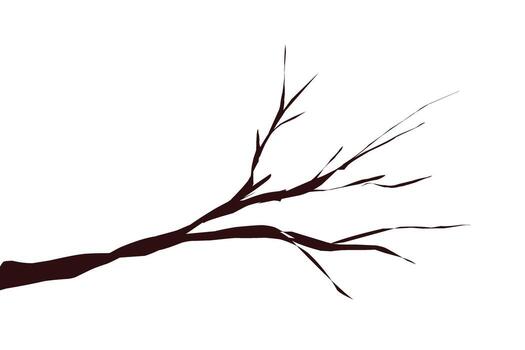 tree branch with no leaves vector