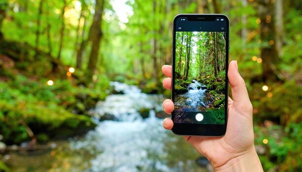 Hand holding smartphone captures vibrant forest stream surrounded by lush green trees and moss, creating peaceful and refreshing nature scene with glowing firefly lights photo