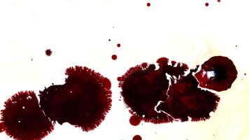 abstrakt rot surreal Kunst von Tinte fallen und Verbreitung video