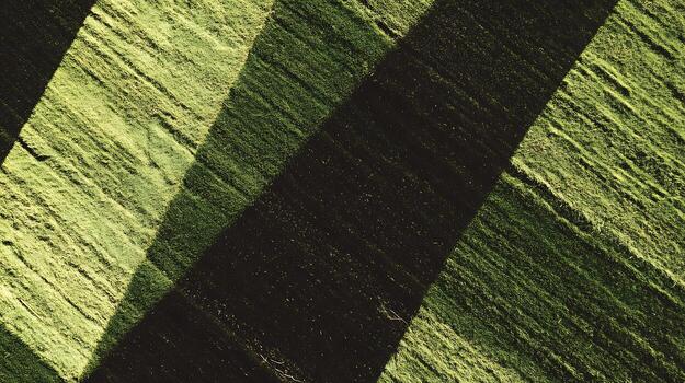 Abstract Patterns Of Green Fields Illuminated By Sunlight. photo