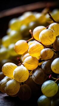 Close-up of green grape cluster photo