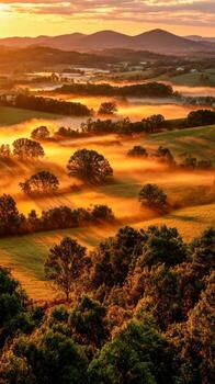 A sunrise over a foggy valley with trees and hills photo
