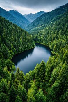 A lake surrounded by trees in the middle of a forest photo