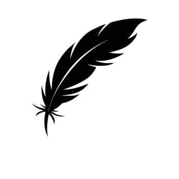 feather on white background vector