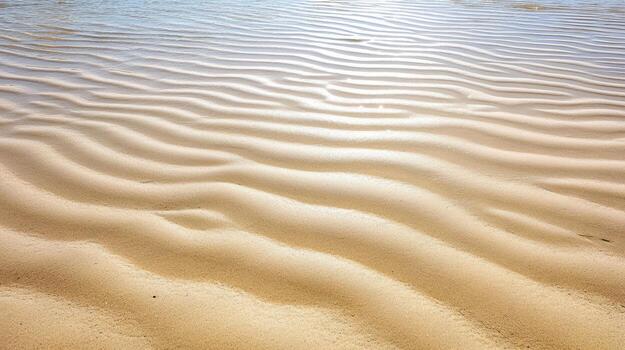 Gentle waves of sand create serene pattern on beach, reflecting soft light photo