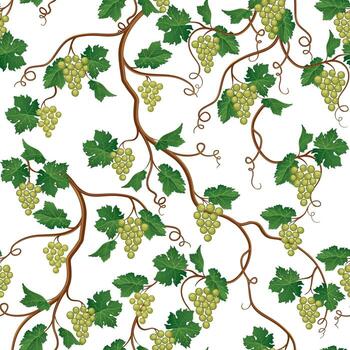 Floral pattern with grape branch. Wineyard seamless Garden background vector