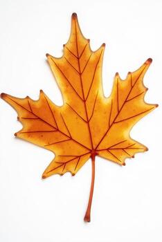 floating 3d maple leaf made of transparent glass, glowing slightly against a white background. photo
