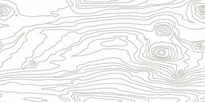 Wood grain white texture. Seamless wooden pattern. Abstract outline background. Tree fiber illustration vector