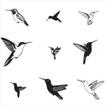 A set of different birds flying in different positions vector