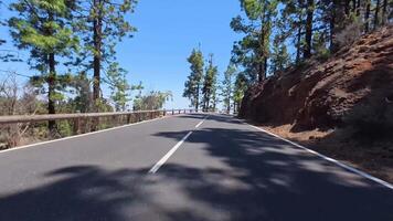 A road with trees on both sides and bridge video