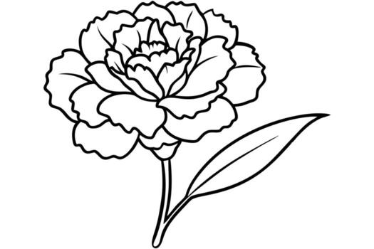 Elegant Line Art Drawing of a Single Carnation Flower in Bloom, Isolated on White Background, Simple and Serene Botanical Illustration vector
