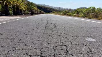 A barren, cracked road stretches out under a clear blue sky, lined with tall palm trees and lush greenery video