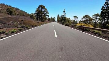 A breathtakingly picturesque view of a winding mountain road beautifully surrounded by flourishing nature video