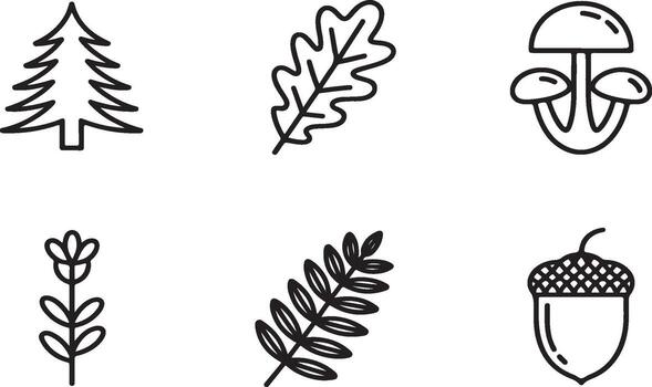 Collection of hand drawn forest elements including tree mushroom and acorn isolated on white background vector