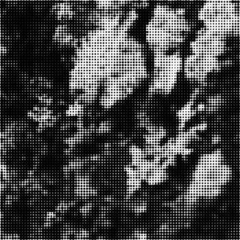 Halftone Pattern. Set of Dots. Dotted Texture on White Background. Overlay Grunge Template. Distress Linear Design. Fade Monochrome Points. Creative Pop Art Backdrop. vector