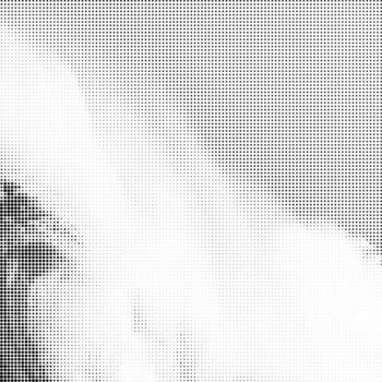 Halftone Pattern. Set of Dots. Dotted Texture on White Background. Overlay Grunge Template. Distress Linear Design. Fade Monochrome Points. Pop dark Art Backdrop. vector