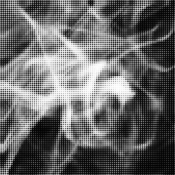 Halftone Pattern. Set of Dots. Dotted Texture on White Background. Overlay Grunge Template. Distress Linear Design. Fade Monochrome Points. Empty Pop Art Backdrop. vector