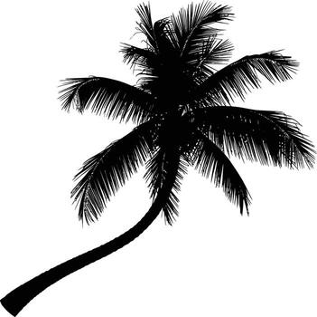 a A striking black outline of a tropical palm tree with curved trunk vector