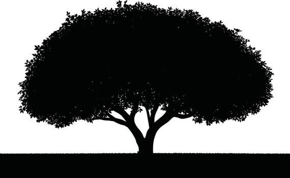large A deciduous tree with a full canopy against a white background outline vector