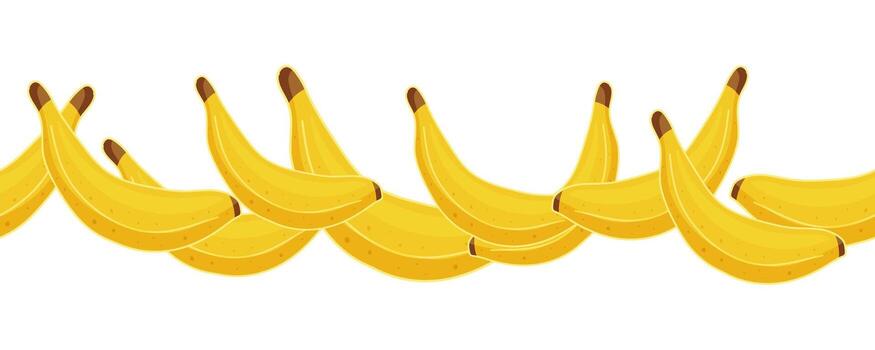 Seamless banana border on white background vector