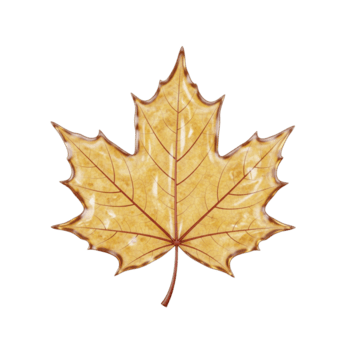 Autumnal maple leaf rendering offering a serene visual experience with an elegant design element png