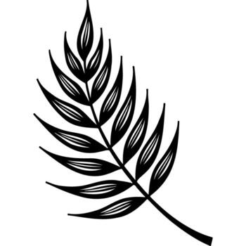 Sketchy palm tree leaf vector