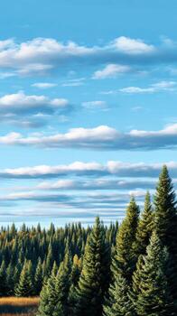 vasto paisaje con hojas perennes arboles y nubes foto