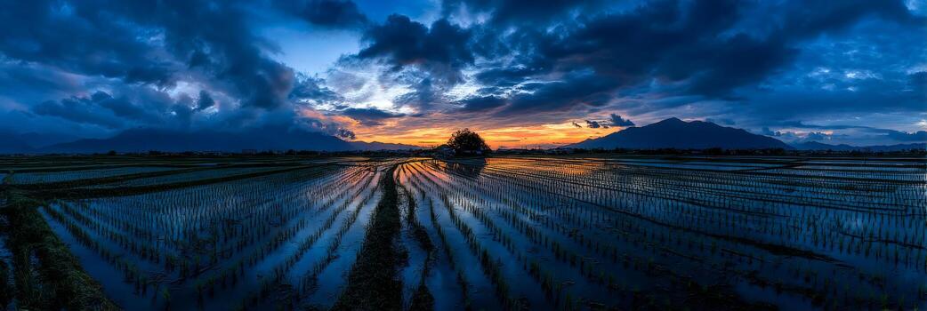 Stunning Panoramic View of Rice Fields at Dusk with Dramatic Clouds and Reflective Water Surfaces in a Serene Landscape photo