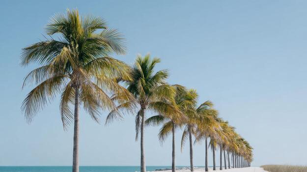 Row Of Palm Trees Along A Beachfront Under Clear Blue Sky. Tropical Paradise And Relaxation Vibes photo