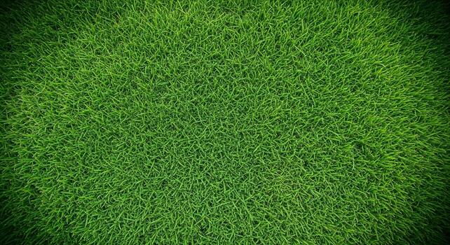 Close up aerial view of a lush green grass texture with a subtle vignette photo