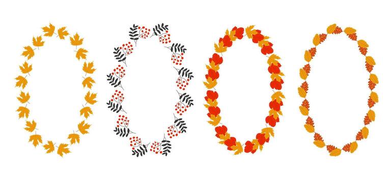 Autumn oval frame set. Oak and maple leaves and rowan berry branch. Wreathes on transparent background. vector