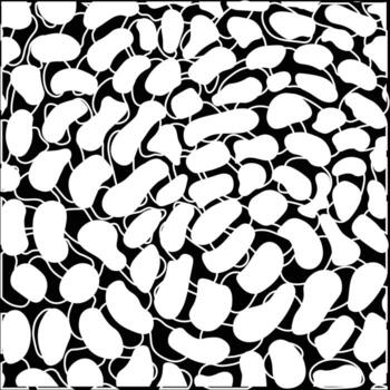 resumen blanco forma con línea modelo vector