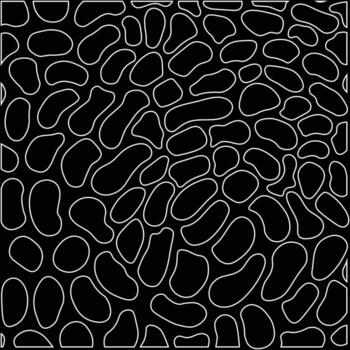 abstract white shape line pattern vector