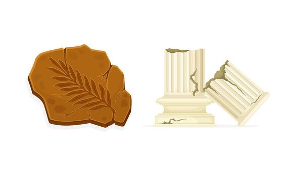 Antique broken Greek column and fossil. Objects of archaeology illustration vector
