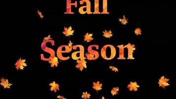 dinâmico outono estação venda animação com queda folhas e vibrante texto efeito para sazonal video