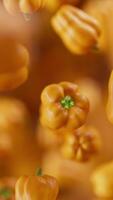 3D animation of a group of bell pepper. Many bell pepper slowly rotate in the background in space. Vertical composition. Defocus. Close-up. video