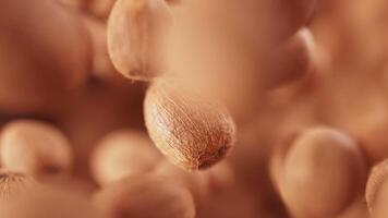 looping animering av en grupp av kokosnötter. många kokosnötter långsamt rotera i de bakgrund i Plats. horisontell sammansättning. oskärpa. närbild. cykel. video