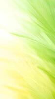 en ljus och färsk bakgrund med ljus, fjäderlätt borsta stroke i pastell grön och ljus gul video